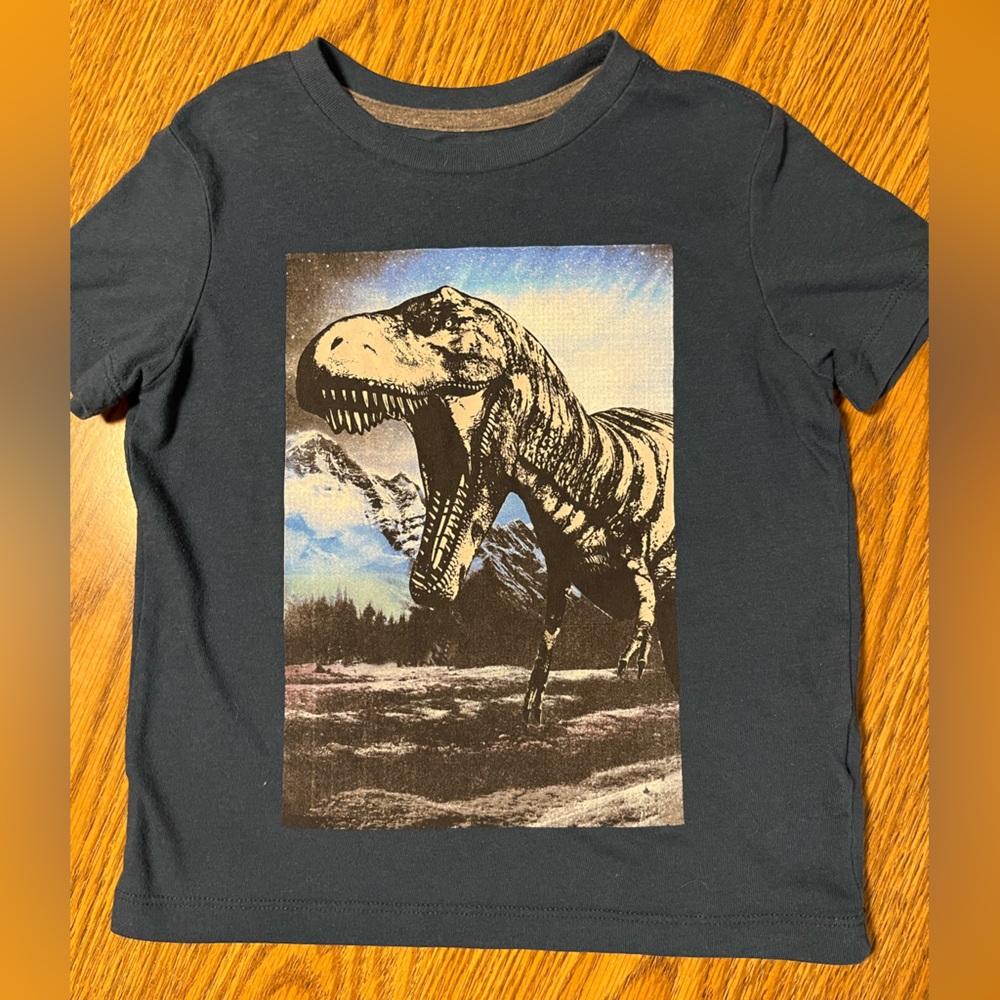 Old Navy shirt.